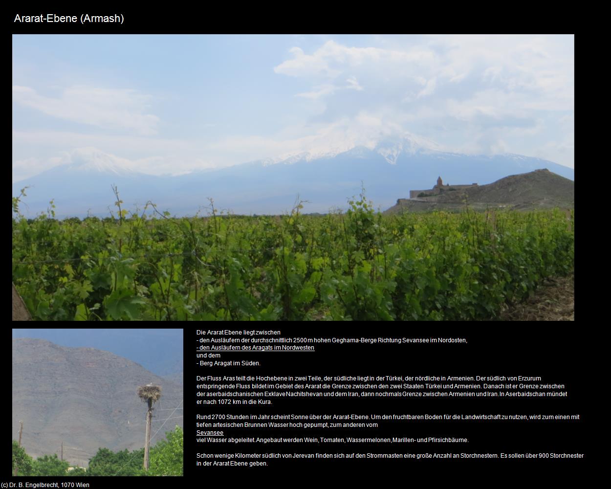 Ararat-Ebene (Armash) in Kulturatlas-ARMENIEN(c)B.Engelbrecht