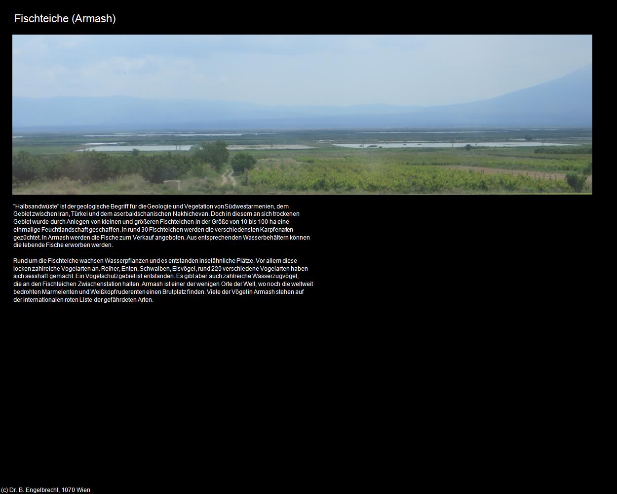 Fischteiche (Armash) in Kulturatlas-ARMENIEN