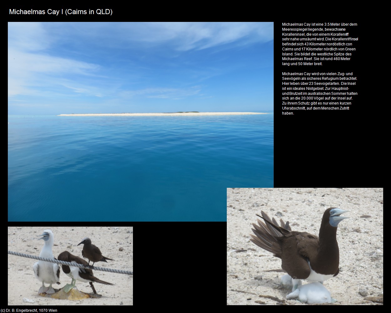 Michaelmas Cay I (Cairns in AUS-QLD) in Kulturatlas-AUSTRALIEN