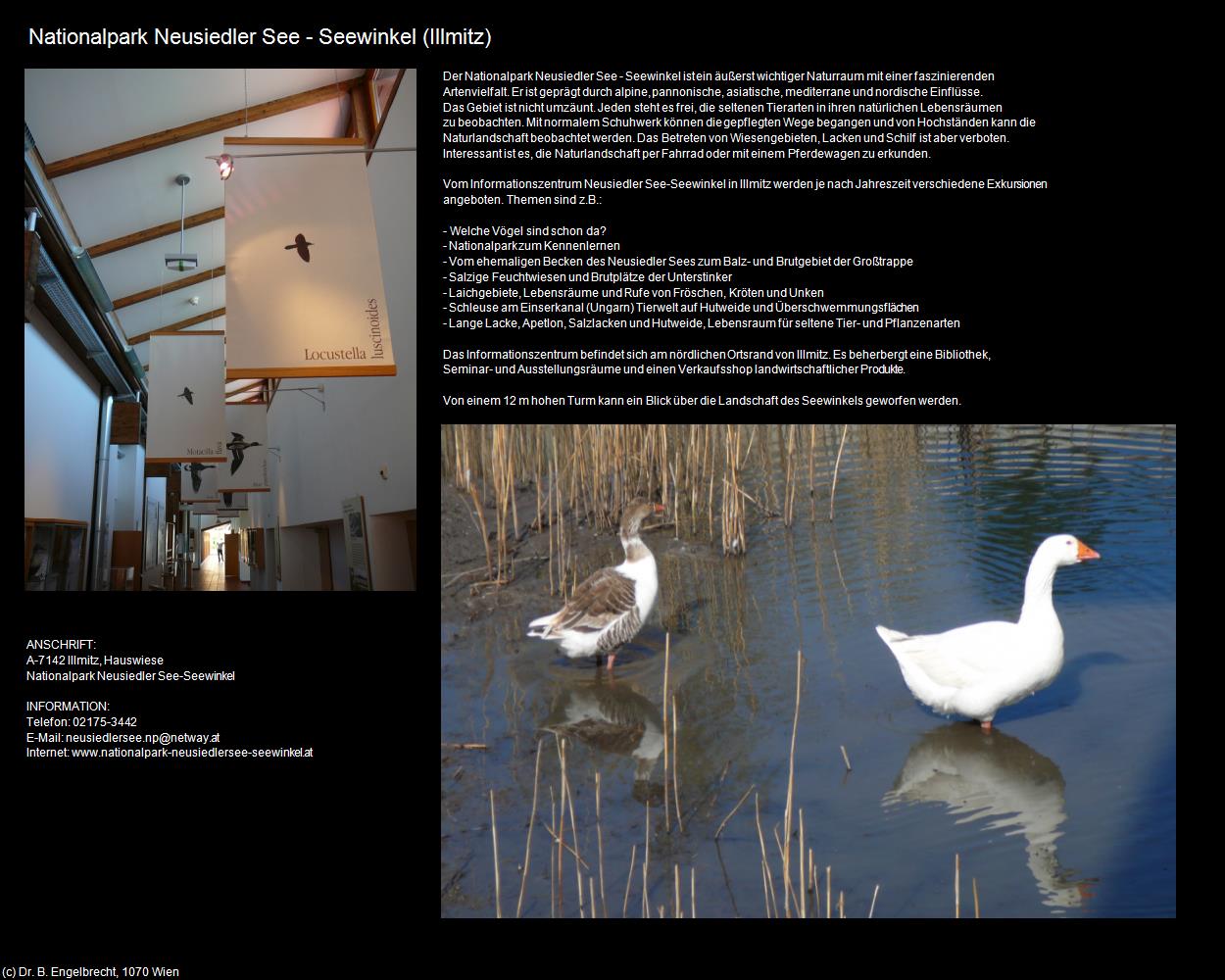 Nationalpark Neusiedler See-Seewinkel (Illmitz) in Kulturatlas-BURGENLAND