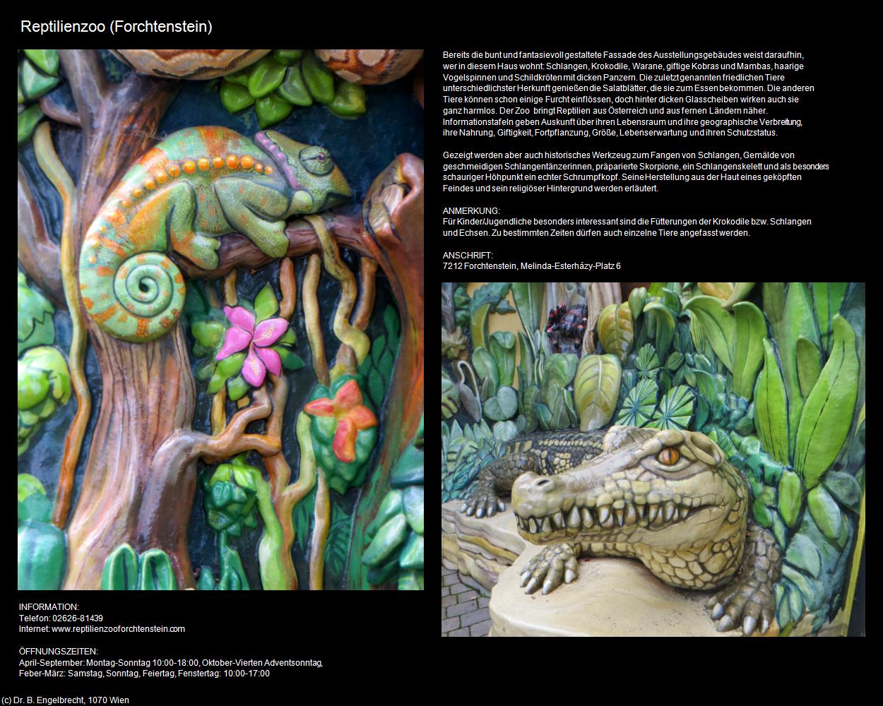 Reptilienzoo  (Forchtenstein) in Kulturatlas-BURGENLAND