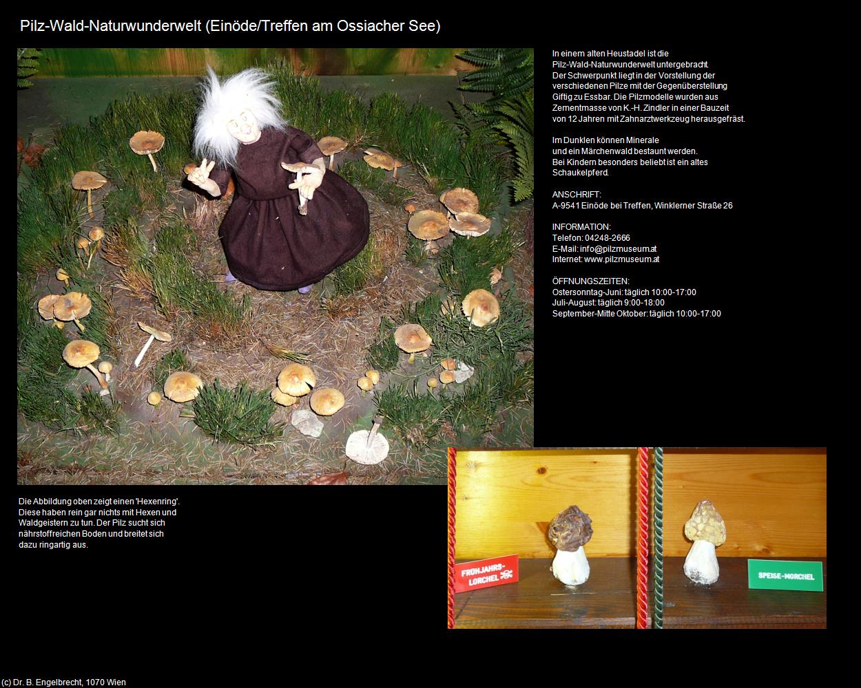 Pilz-Wald-Naturwunderwelt (Einöde/Treffen am Ossiacher See) in Kulturatlas-KÄRNTEN
