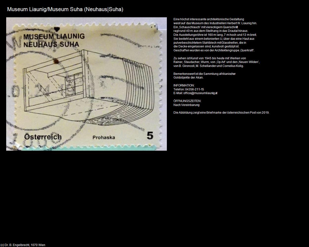 Museum Liaunig (Neuhaus|Suha) in Kulturatlas-KÄRNTEN
