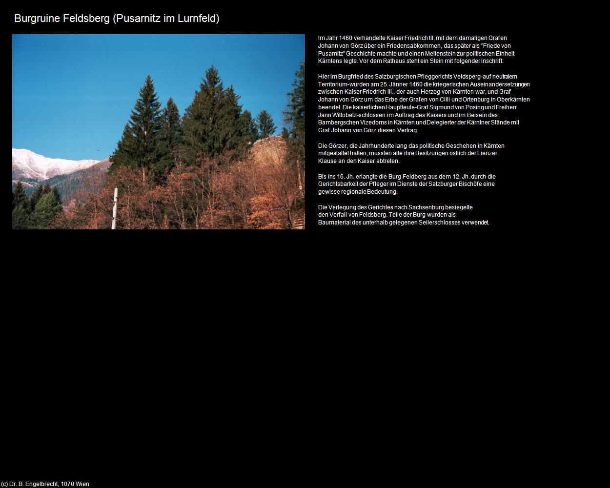 Burgruine Feldsberg (Pusarnitz) in Kulturatlas-KÄRNTEN