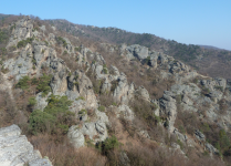 Klettergarten und Trockenrasen (Dürnstein)