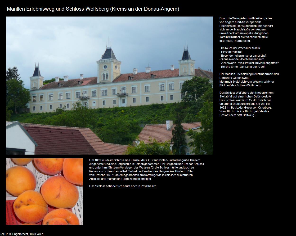 Marillen Erlebnisweg und Schloss Wolfsberg (Angern) (Krems an der Donau) in Kulturatlas-NIEDERÖSTERREICH(c)B.Engelbrecht