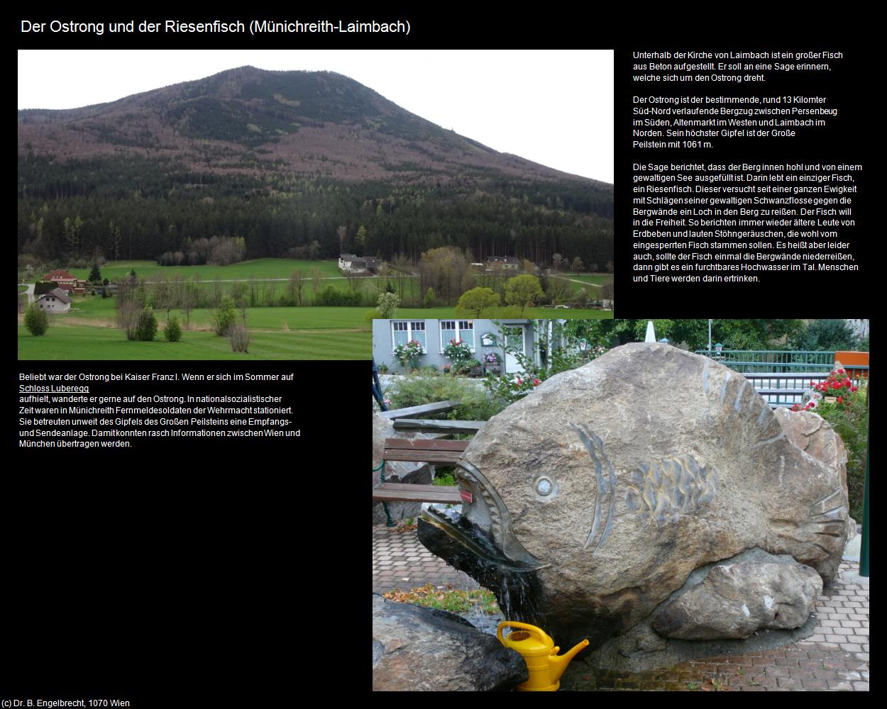 Der Riesenfisch im Ostrong (Münichreith-Laimbach) in Kulturatlas-NIEDERÖSTERREICH(c)B.Engelbrecht