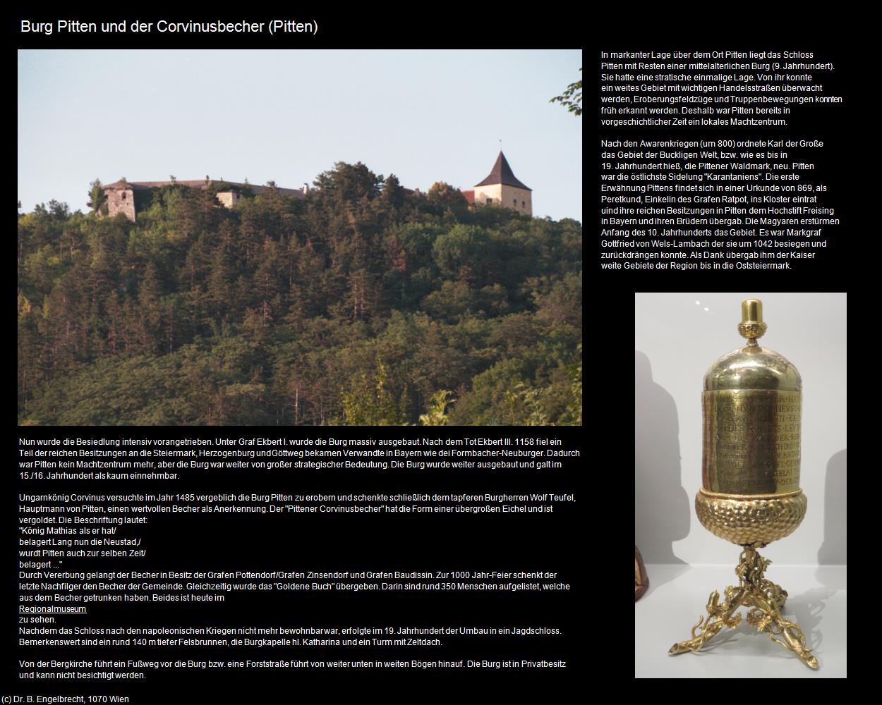Burg Pitten (Pitten) in Kulturatlas-NIEDERÖSTERREICH(c)B.Engelbrecht