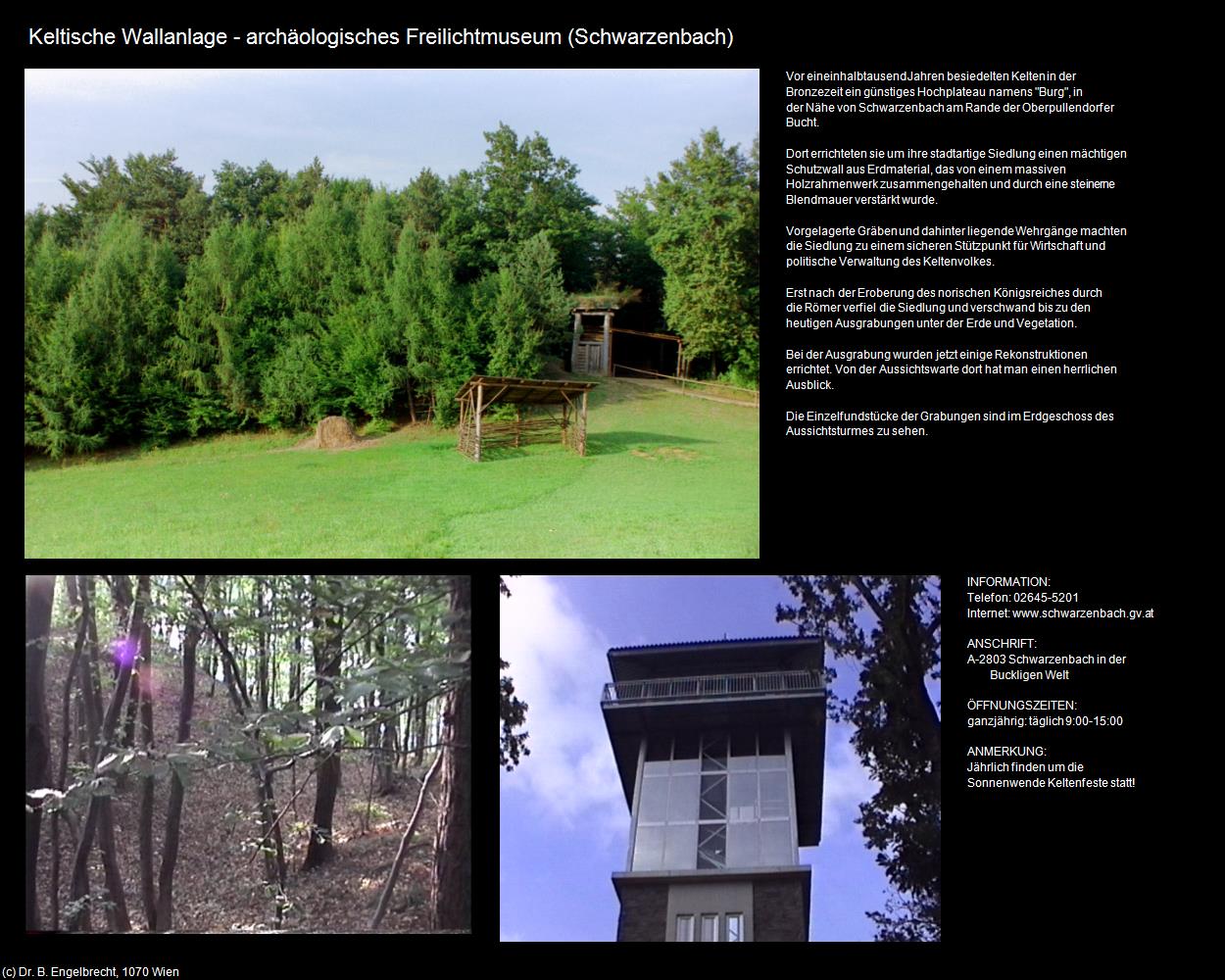 Keltische Wallanlage (Schwarzenbach) in Kulturatlas-NIEDERÖSTERREICH