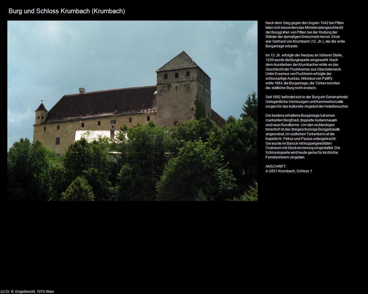 Schloss Krumbach (Krumbach) in Kulturatlas-NIEDERÖSTERREICH