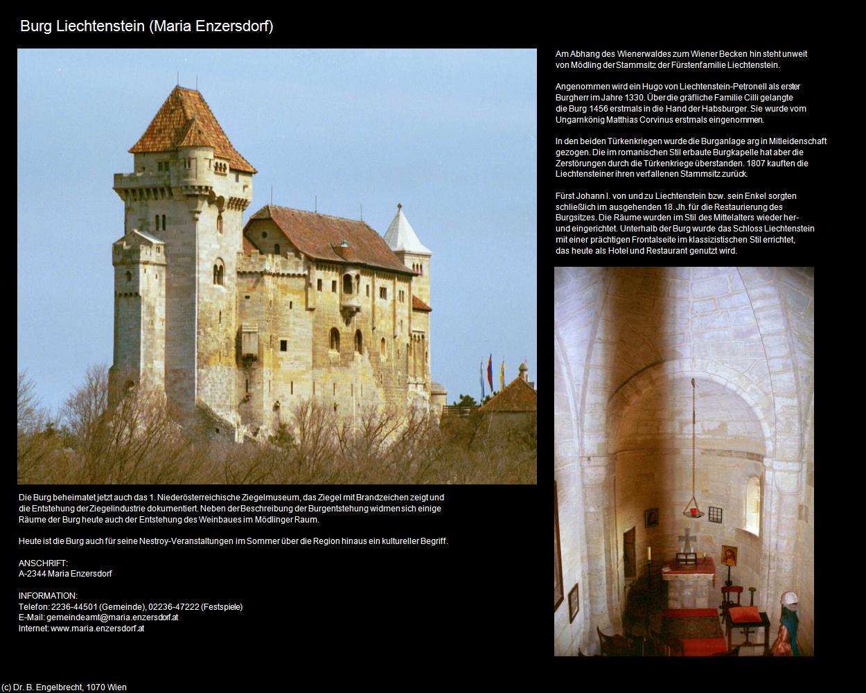 Burg Liechtenstein (Maria Enzersdorf) in Kulturatlas-NIEDERÖSTERREICH