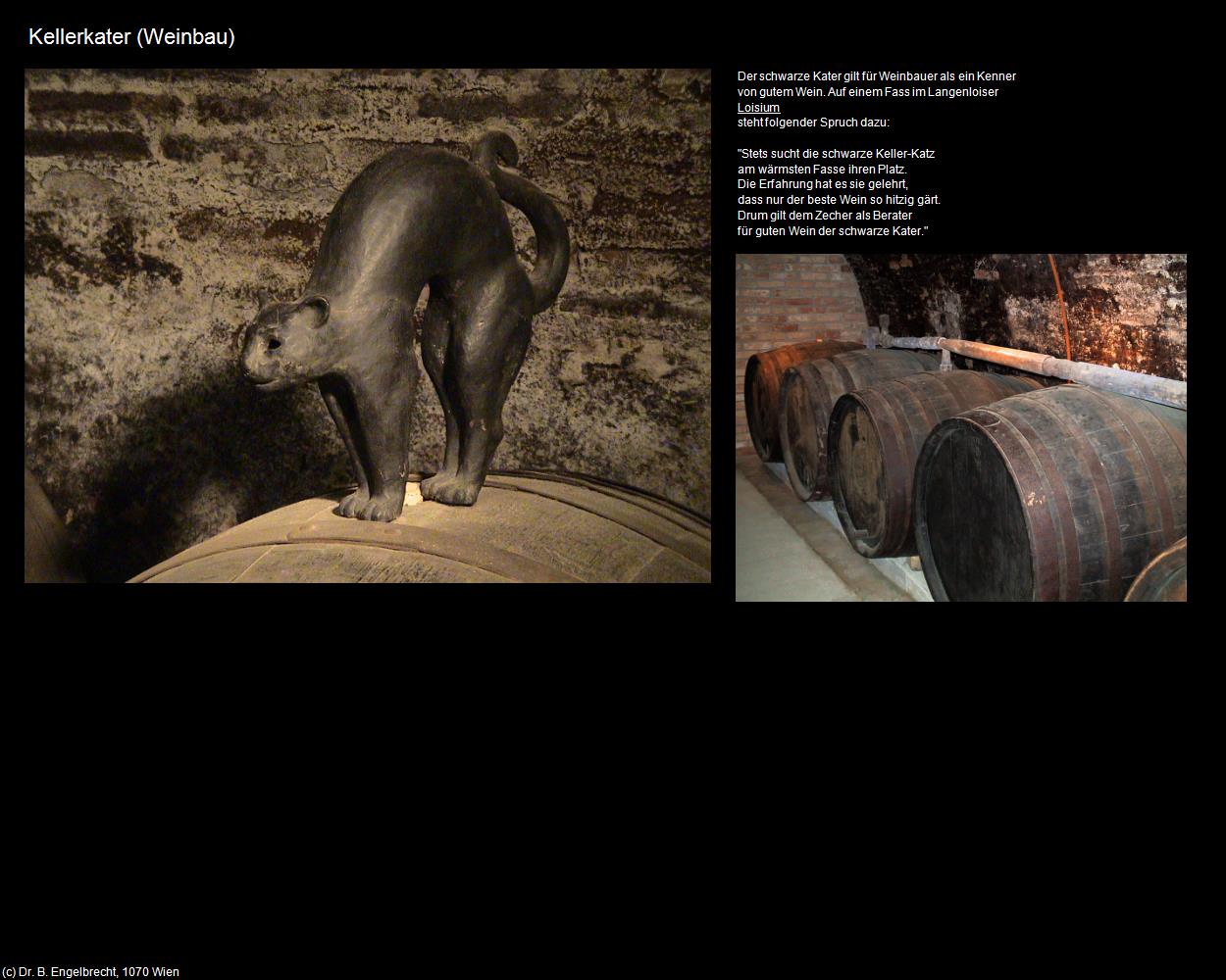 Kellerkater (Langenlois) in Kulturatlas-NIEDERÖSTERREICH(c)B.Engelbrecht
