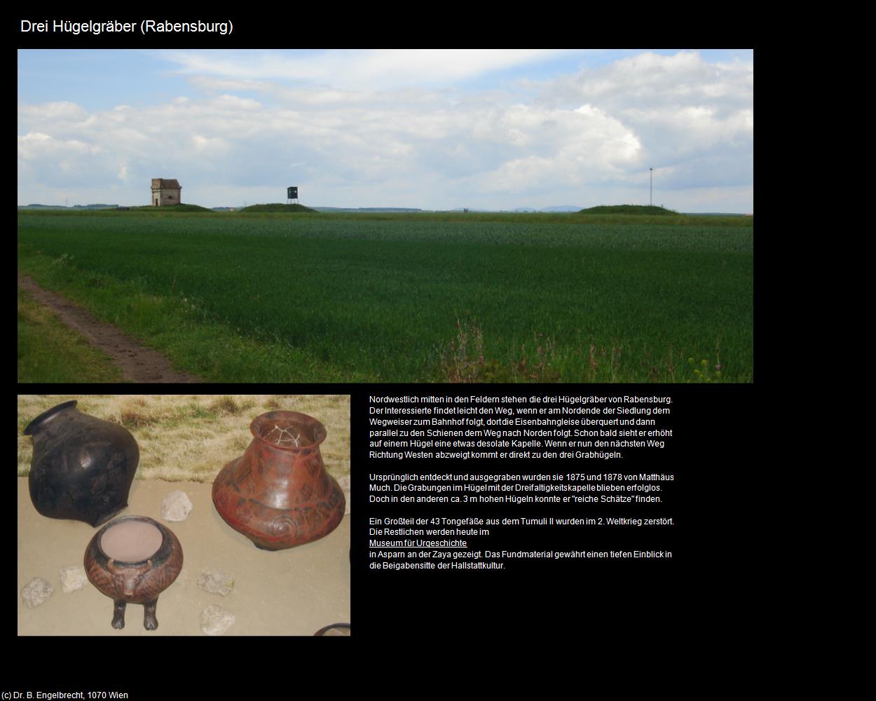 Drei Hügelgräber (Rabensburg) in Kulturatlas-NIEDERÖSTERREICH(c)B.Engelbrecht