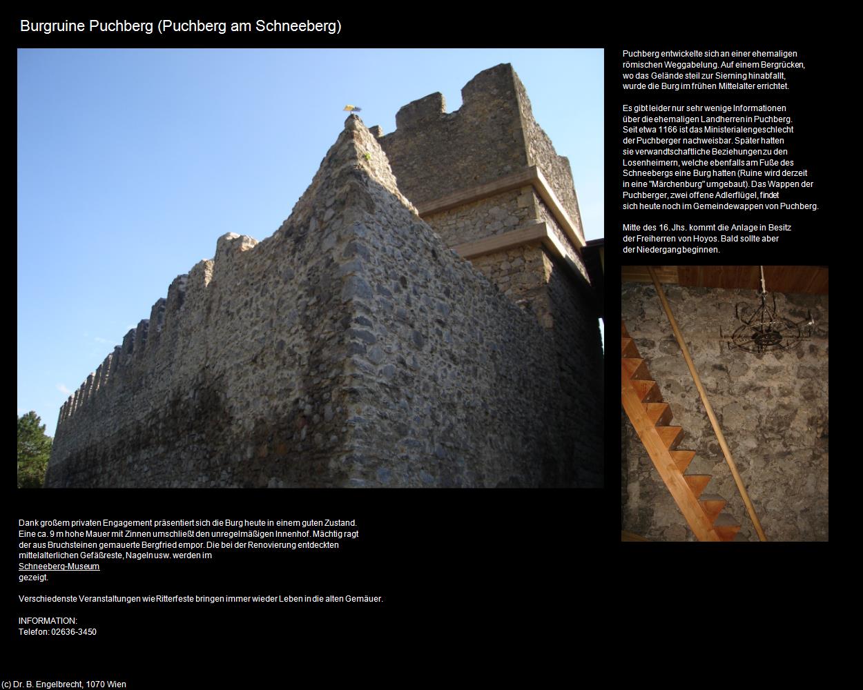 Burgruine Puchberg (Puchberg am Schneeberg) in Kulturatlas-NIEDERÖSTERREICH(c)B.Engelbrecht