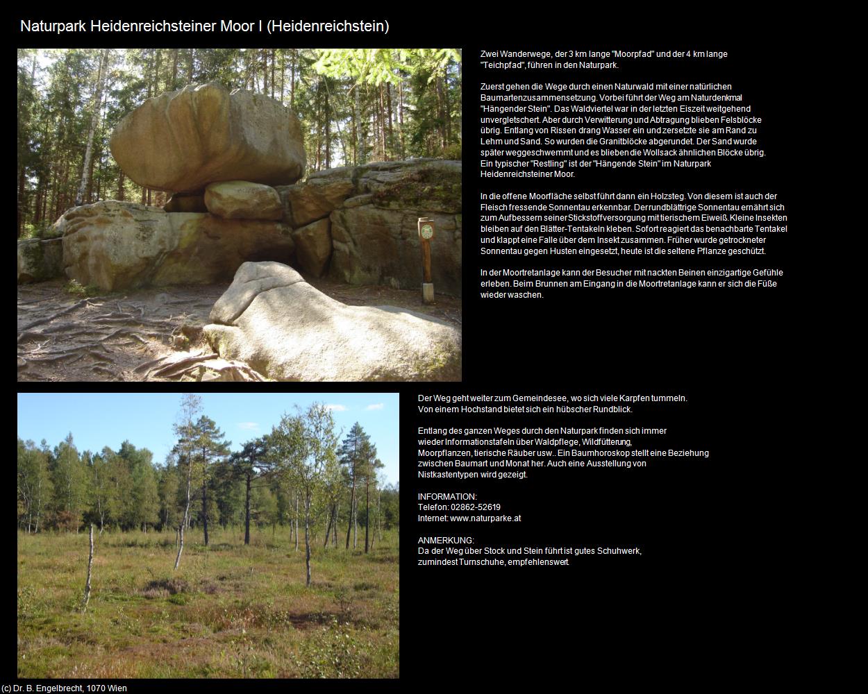 Naturpark Heidenreichsteiner Moor I (Heidenreichstein) in Kulturatlas-NIEDERÖSTERREICH