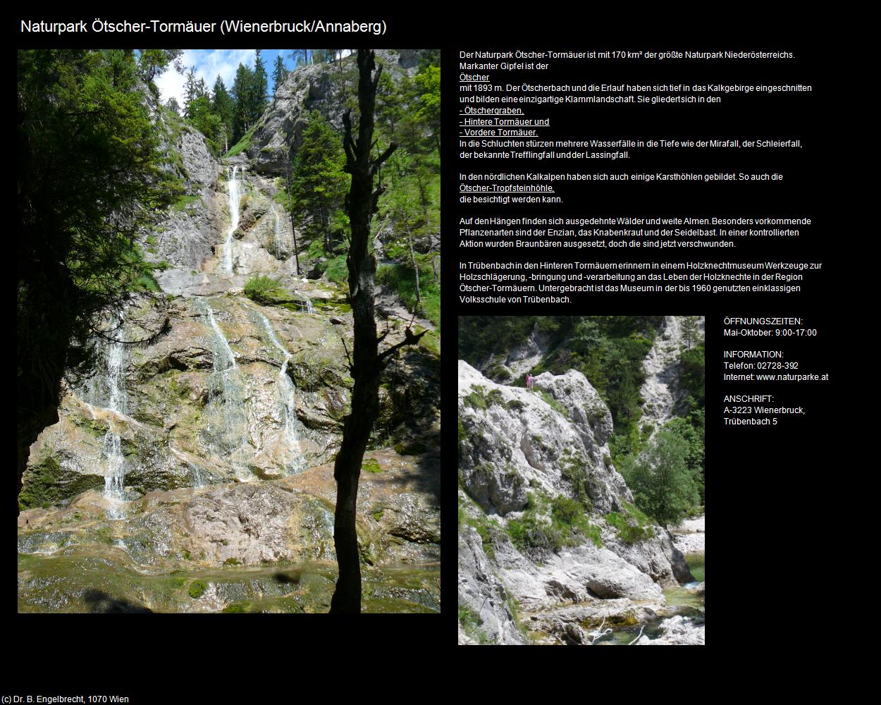 Naturpark Ötscher-Tormäuer (Wienerbruck/Annaberg) in Kulturatlas-NIEDERÖSTERREICH(c)B.Engelbrecht