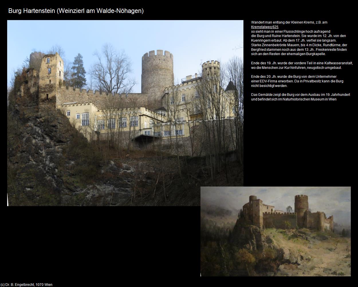 Burg Hartenstein (Nöhagen) (Weinzierl am Walde) in Kulturatlas-NIEDERÖSTERREICH(c)B.Engelbrecht
