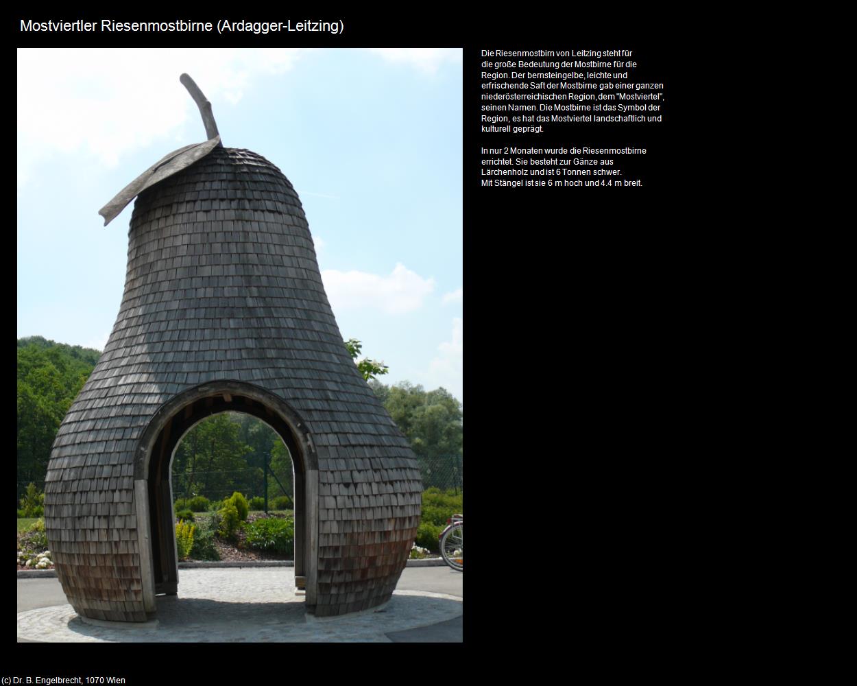 Mostviertler Riesenmostbirn (Leitzing) (Ardagger) in Kulturatlas-NIEDERÖSTERREICH
