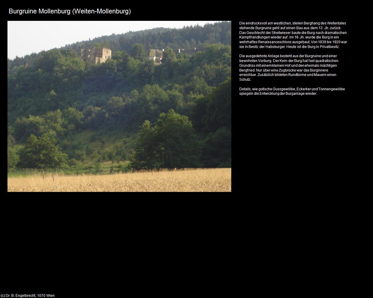 Burgruine Mollenburg (Weiten) in Kulturatlas-NIEDERÖSTERREICH