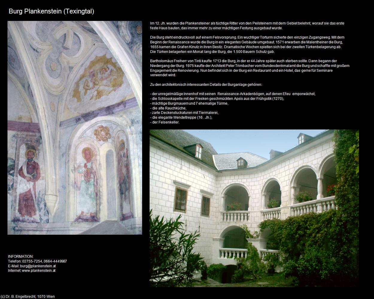 Burg Plankenstein  (Texingtal) in Kulturatlas-NIEDERÖSTERREICH