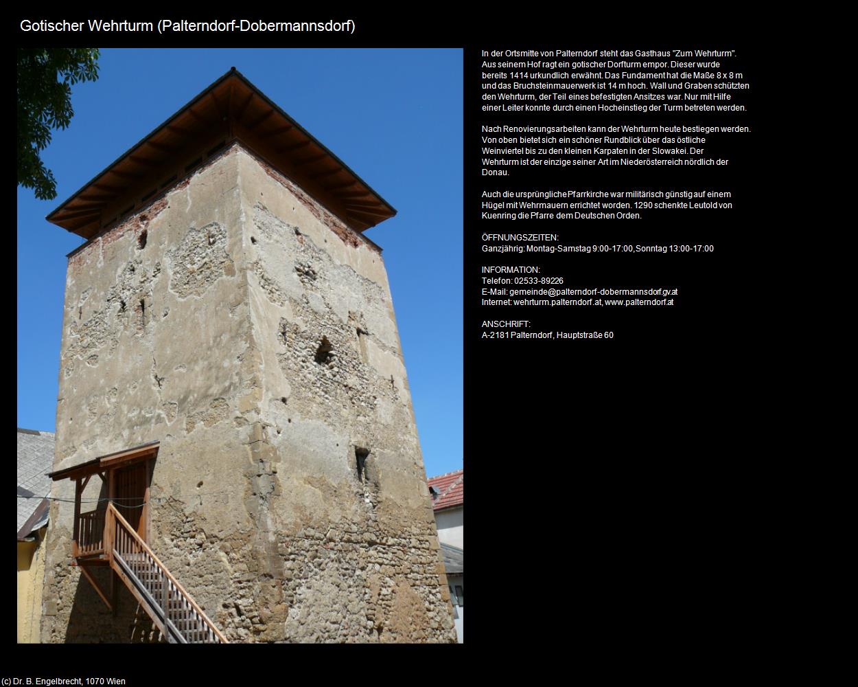 Gotischer Wehrturm (Palterndorf) (Palterndorf-Dobermannsdorf) in Kulturatlas-NIEDERÖSTERREICH