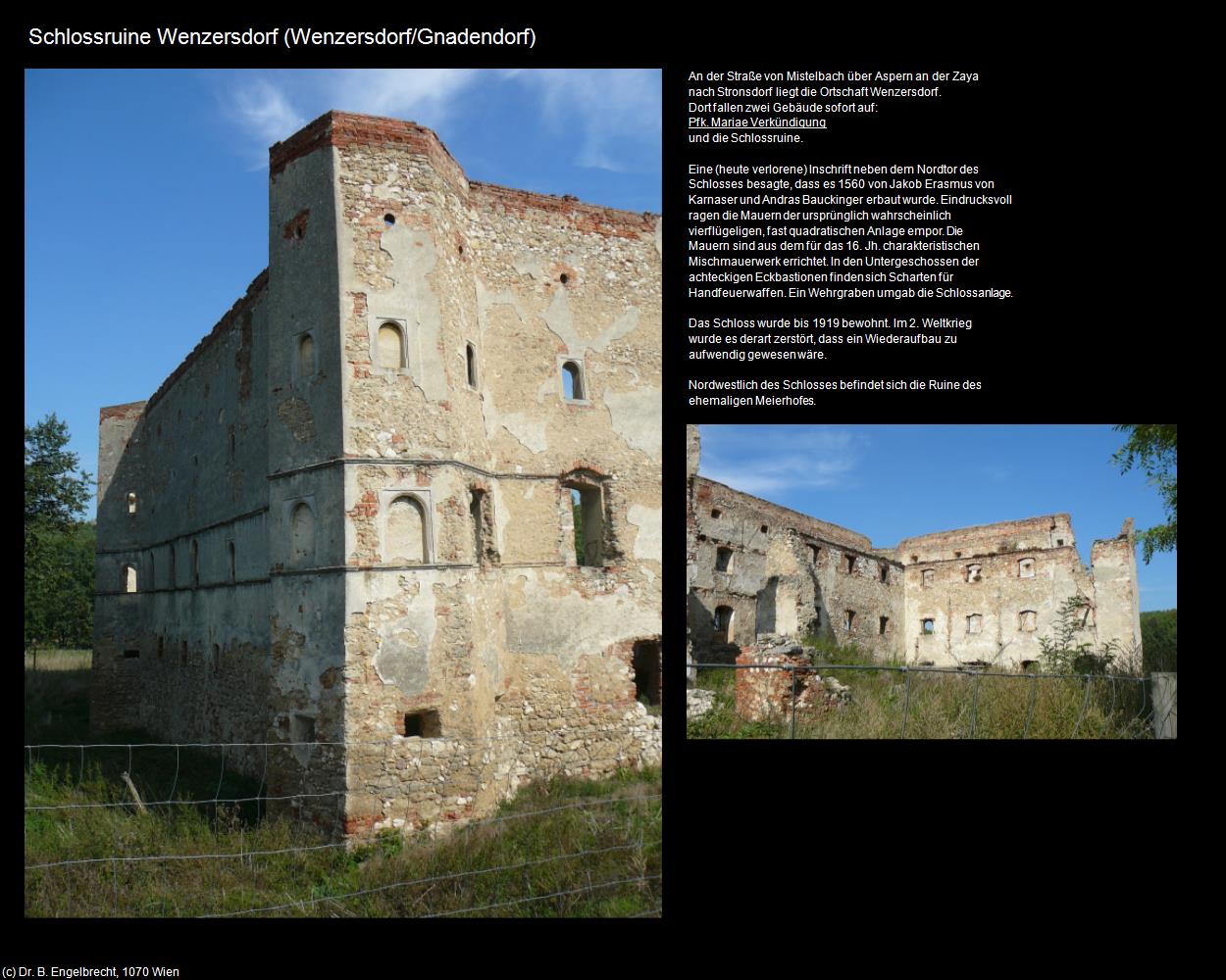 Schlossruine (Wenzersdorf/Gnadendorf) in Kulturatlas-NIEDERÖSTERREICH(c)B.Engelbrecht