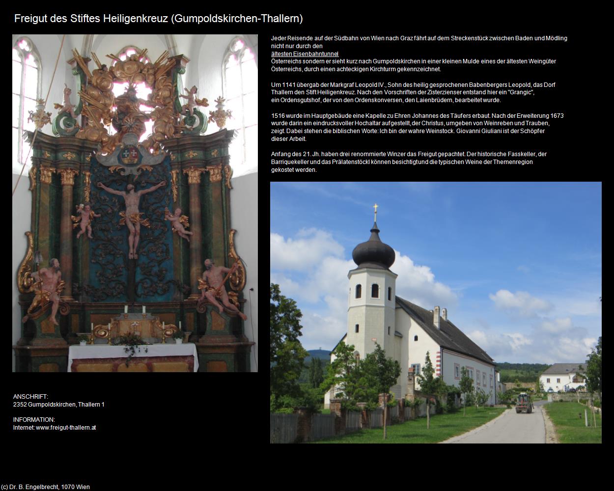 Freigut des Stiftes Heiligenkreuz (Thallern) (Gumpoldskirchen) in Kulturatlas-NIEDERÖSTERREICH(c)B.Engelbrecht