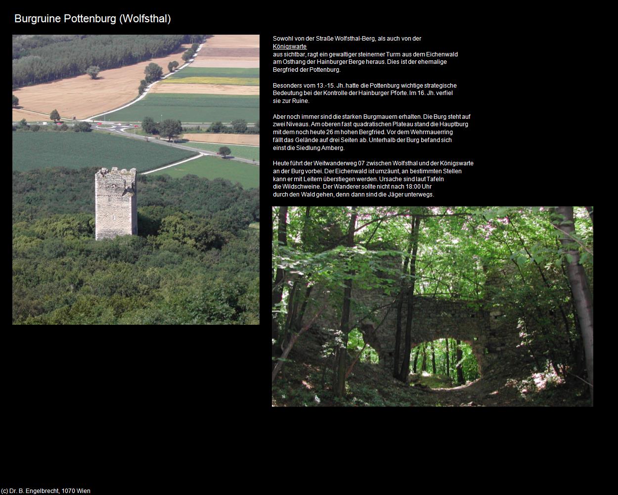 Burgruine Pottenburg (Wolfsthal) in Kulturatlas-NIEDERÖSTERREICH(c)B.Engelbrecht