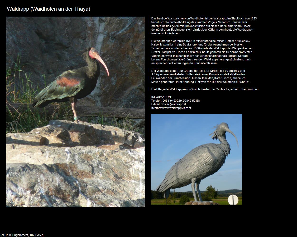 Waldrapp (Waidhofen an der Thaya) in Kulturatlas-NIEDERÖSTERREICH