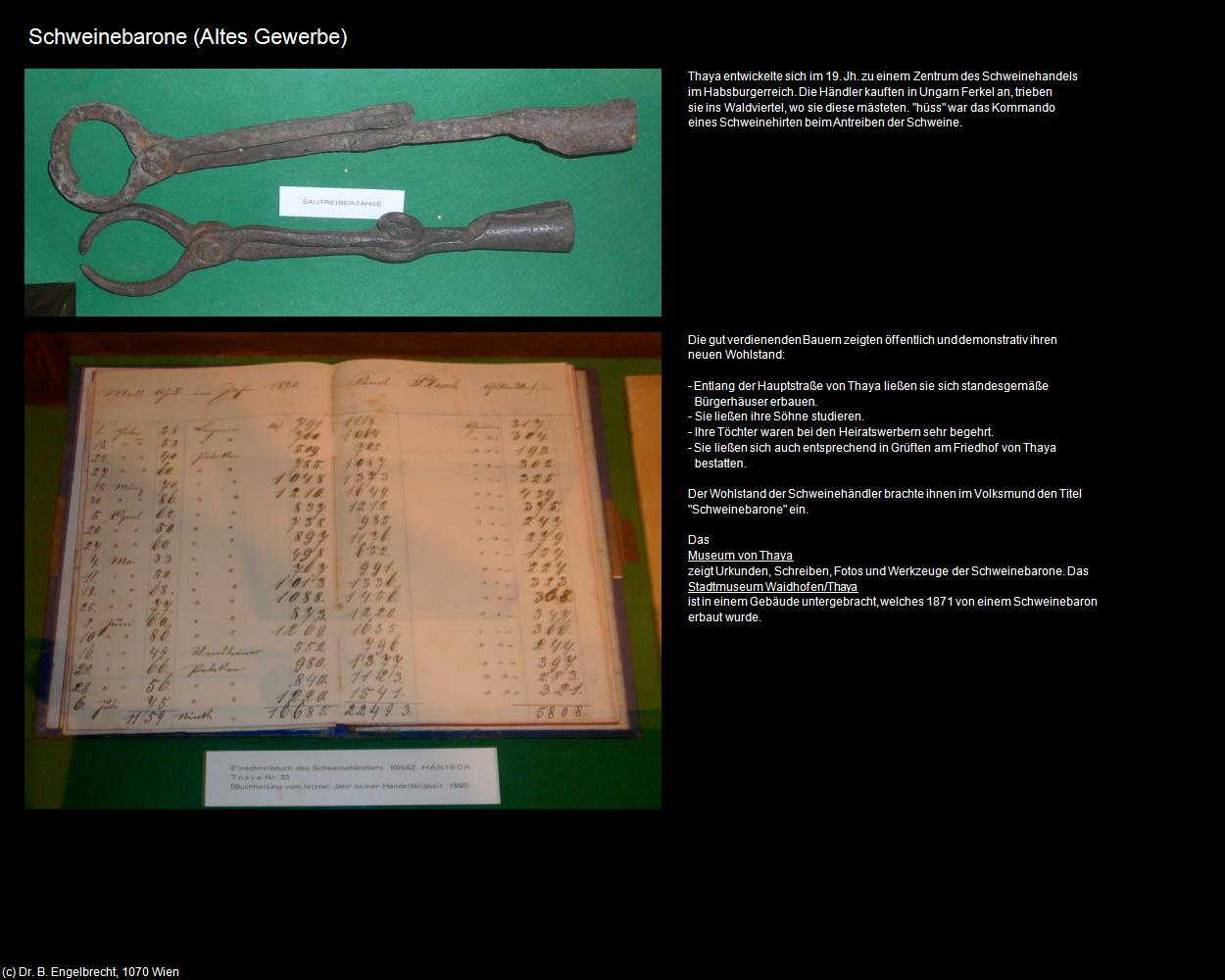 Schweinebarone (Thaya) in Kulturatlas-NIEDERÖSTERREICH(c)B.Engelbrecht