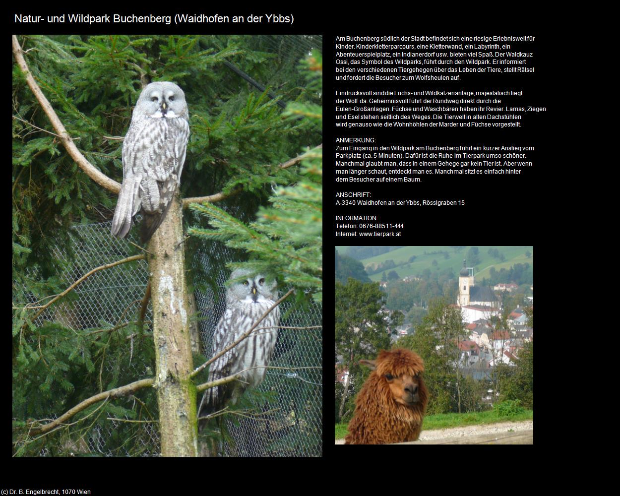 Natur- und Wildpark Buchenberg (Waidhofen an der Ybbs) in Kulturatlas-NIEDERÖSTERREICH