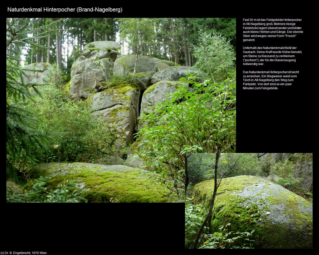 Naturdenkmal Hinterpocher  (Brand-Nagelberg) in Kulturatlas-NIEDERÖSTERREICH