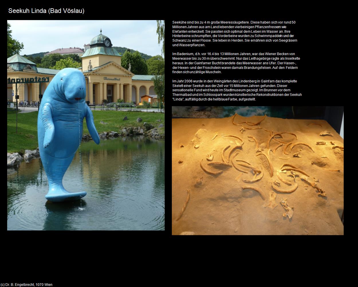 Seekuh Linda (Bad Vöslau) in Kulturatlas-NIEDERÖSTERREICH