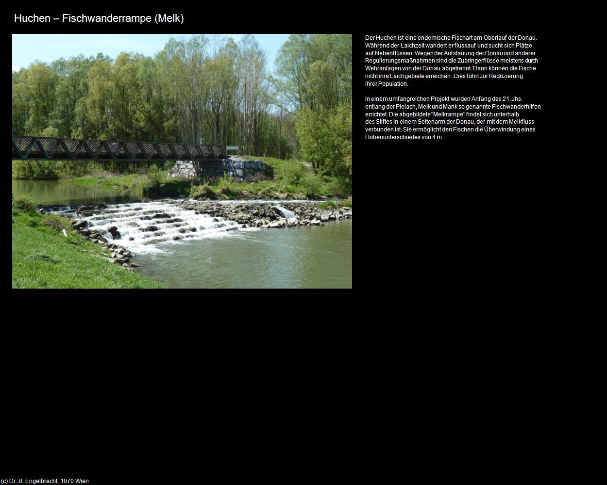 Huchen-Fischwanderrampe  (Melk) in Kulturatlas-NIEDERÖSTERREICH