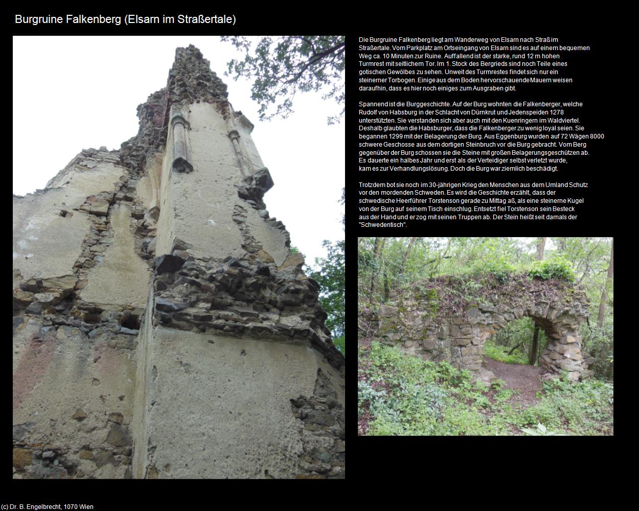 Burgruine Falkenberg  (Elsarn/Straß im Straßertale) in Kulturatlas-NIEDERÖSTERREICH