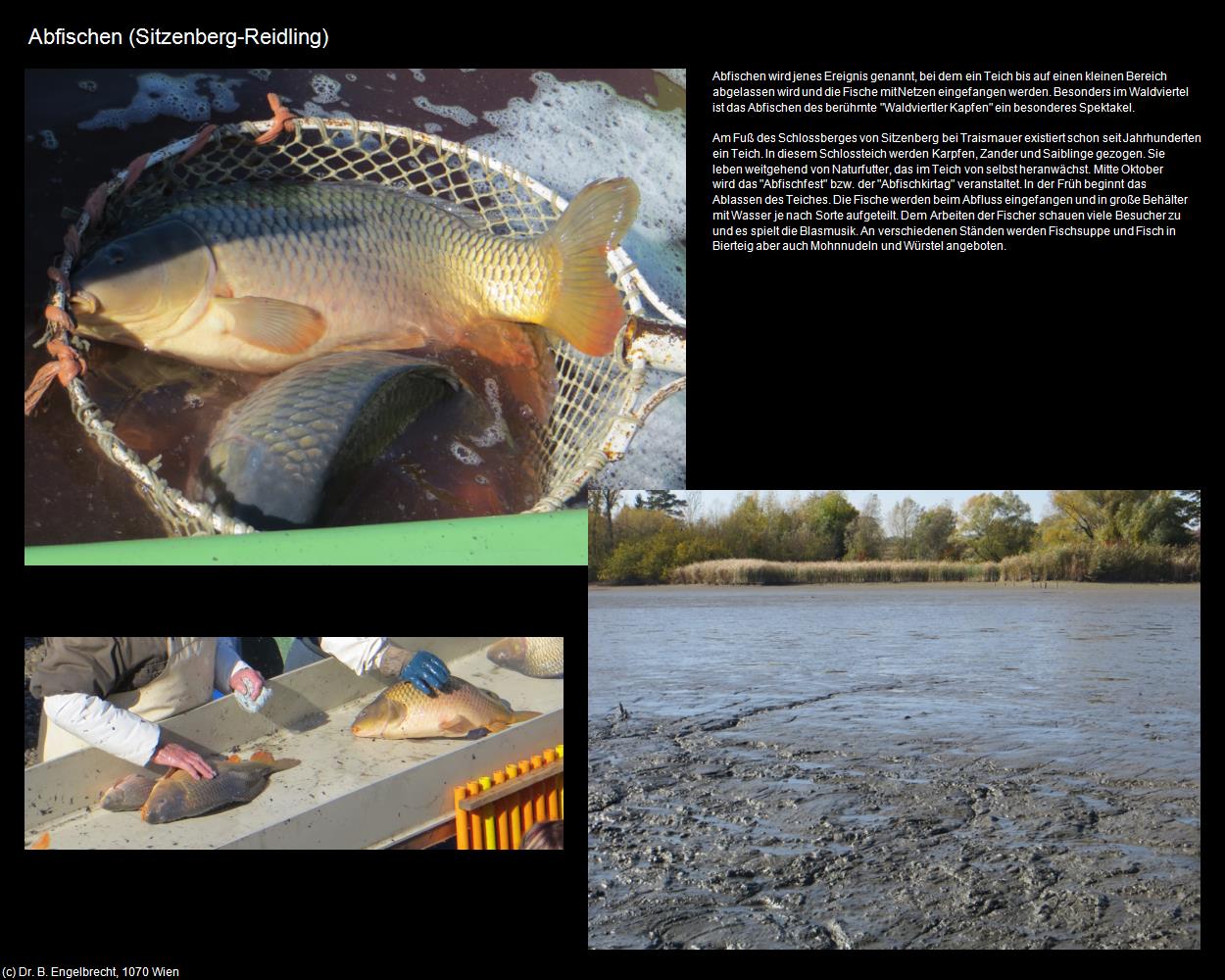 Abfischen (Sitzenberg-Reidling) in Kulturatlas-NIEDERÖSTERREICH