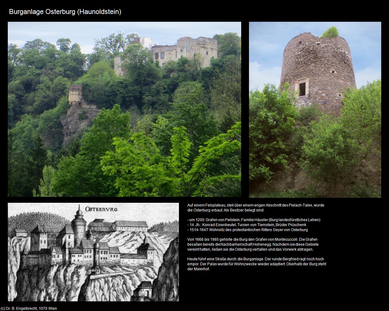 Burganlage Osterburg  (Haunoldstein) in Kulturatlas-NIEDERÖSTERREICH