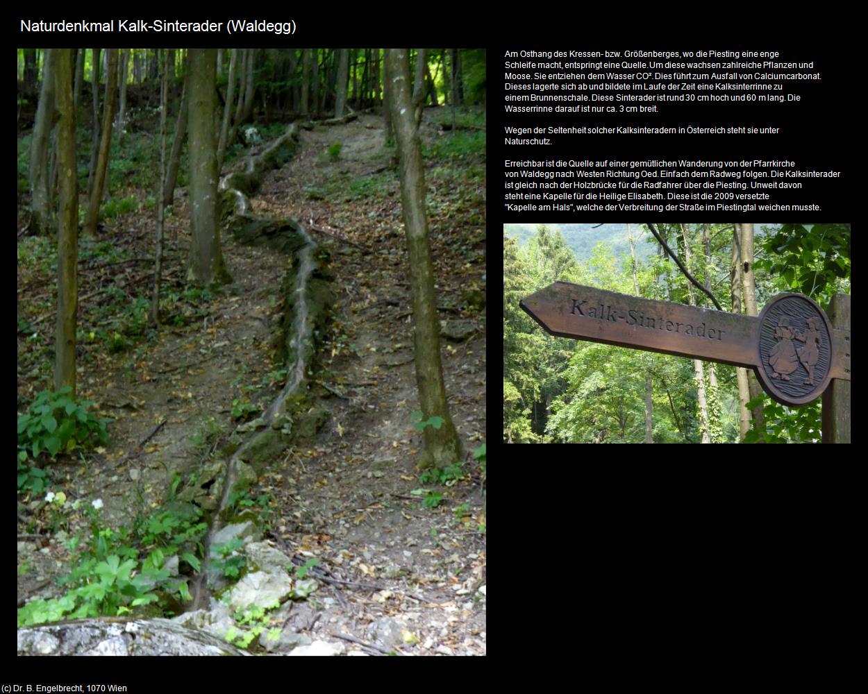 Naturdenkmal Kalksinterader   (Waldegg) in Kulturatlas-NIEDERÖSTERREICH