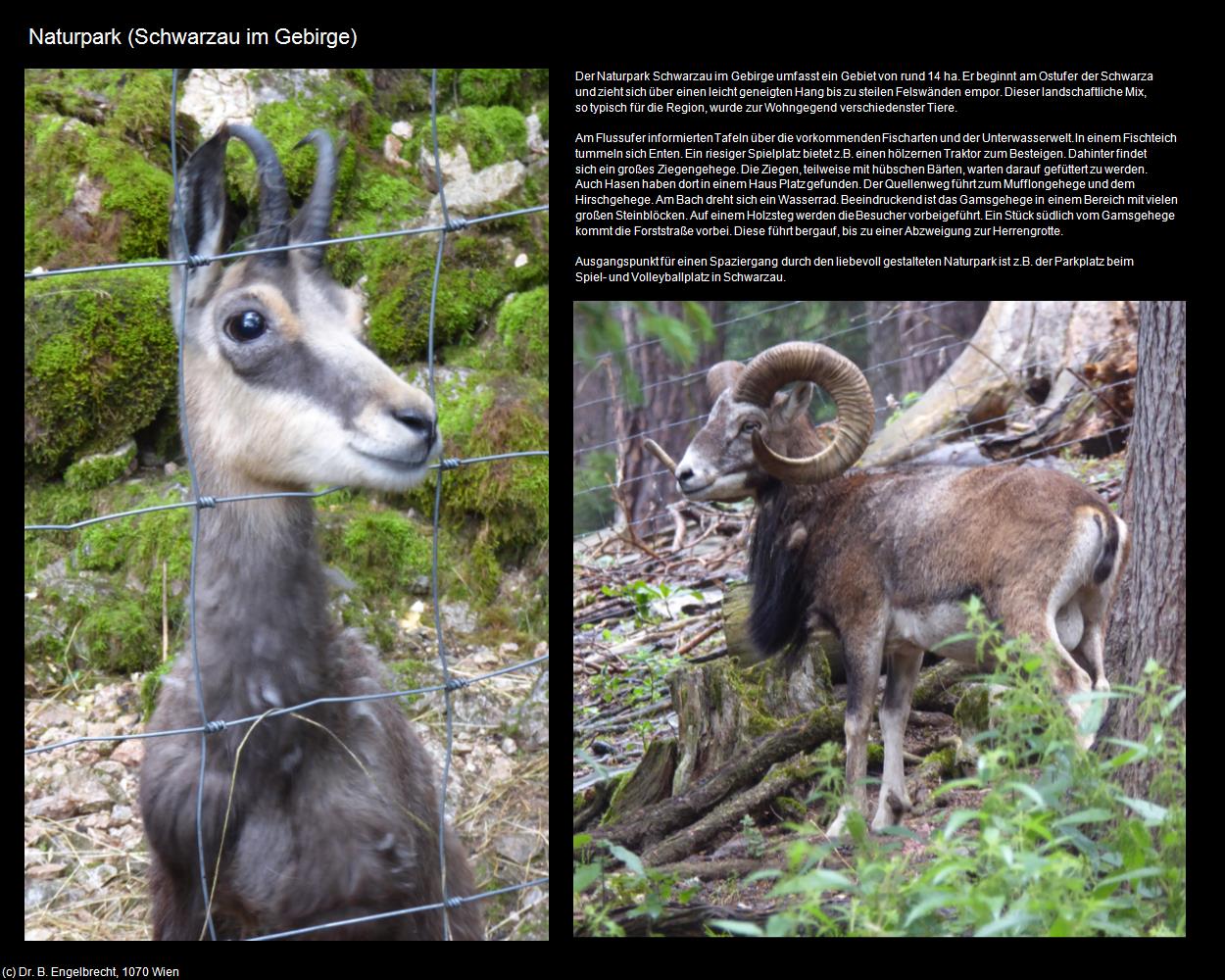 Naturpark (Schwarzau im Gebirge) in Kulturatlas-NIEDERÖSTERREICH