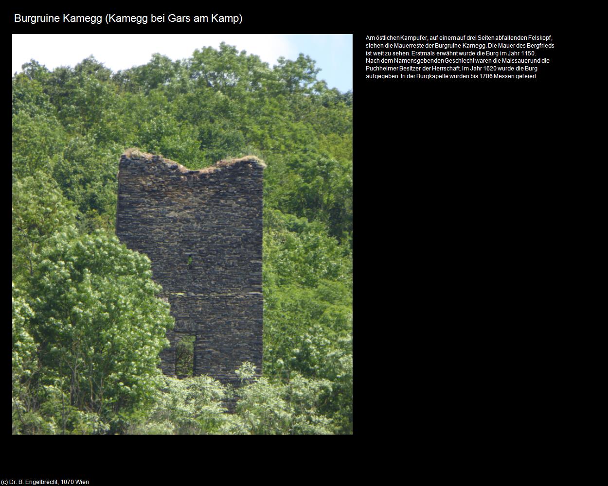 Burgruine Kamegg (Kamegg bei Gars am Kamp) in Kulturatlas-NIEDERÖSTERREICH