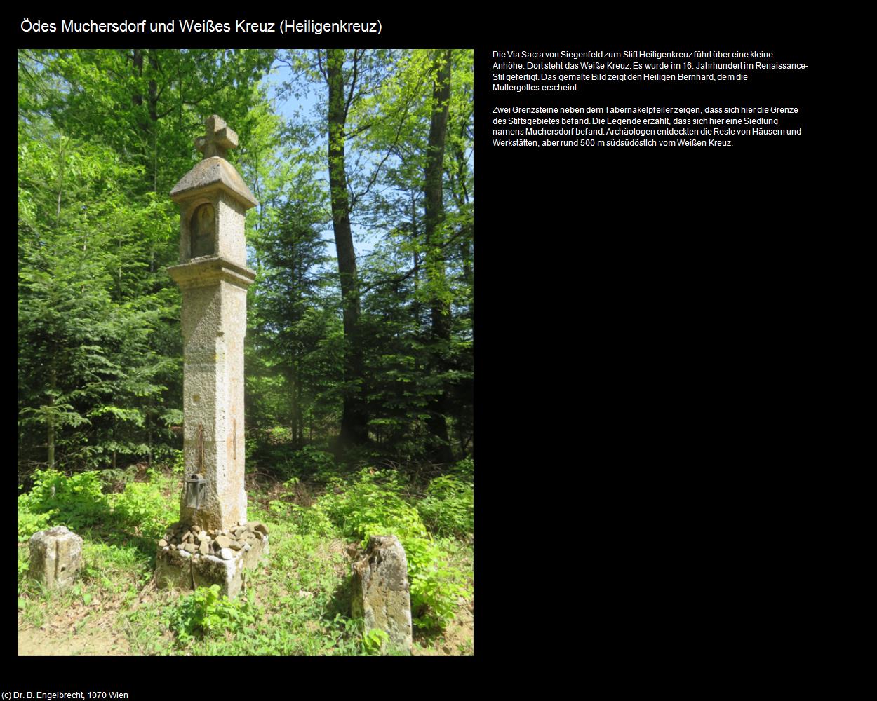 Ödes Muchersdorf und Weißes Kreuz (Heiligenkreuz) in Kulturatlas-NIEDERÖSTERREICH