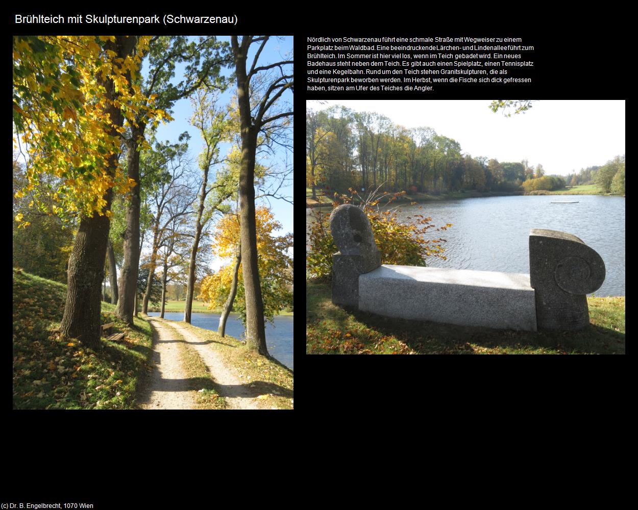 Brühlteich mit Skulpturenpark (Schwarzenau) in Kulturatlas-NIEDERÖSTERREICH