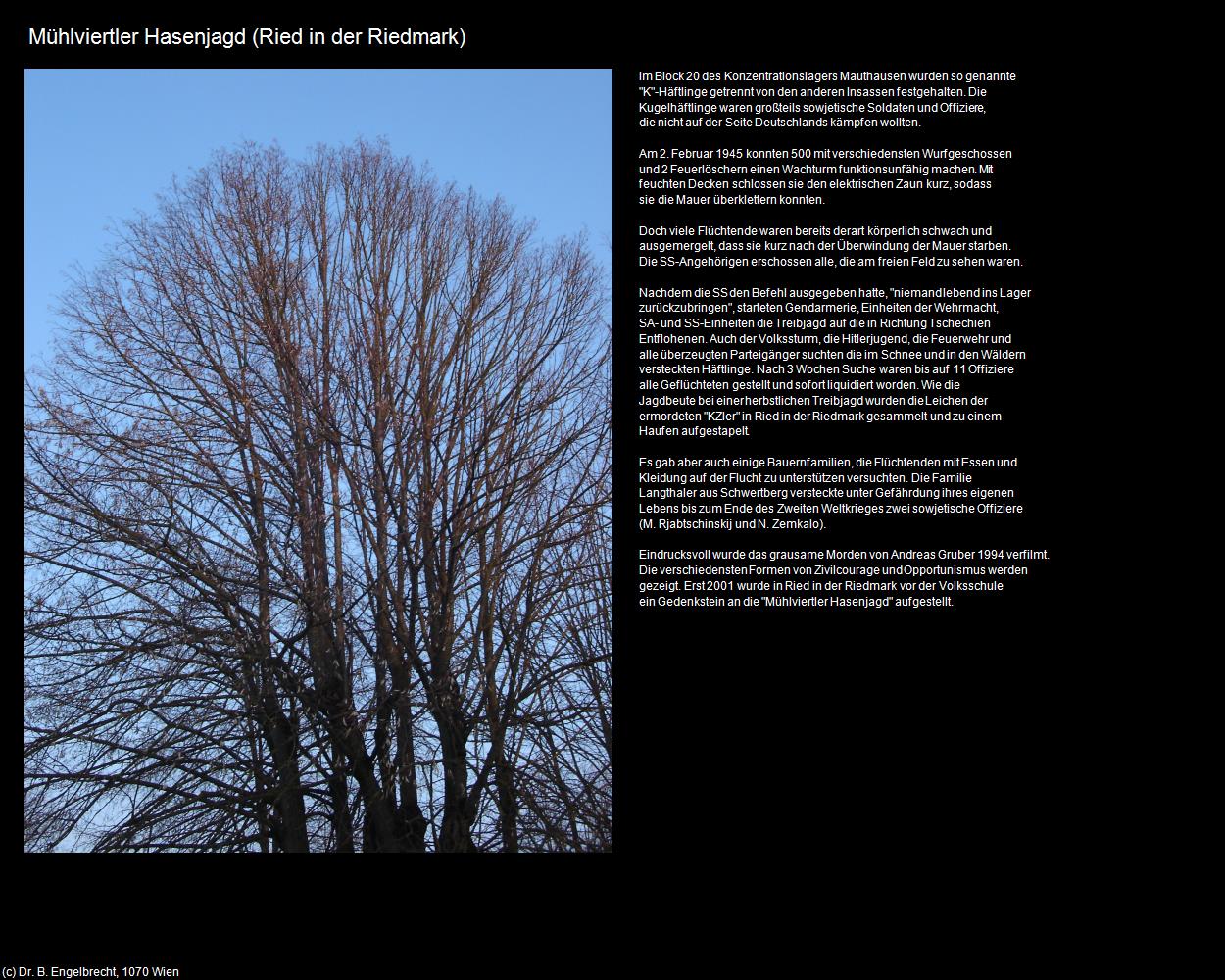 Mühlviertler Hasenjagd (Ried in der Riedmark) in Kulturatlas-OBERÖSTERREICH