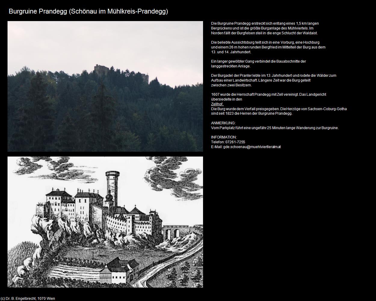 Burgruine Prandegg  (Schönau im Mühlkreis) in Kulturatlas-OBERÖSTERREICH(c)B.Engelbrecht