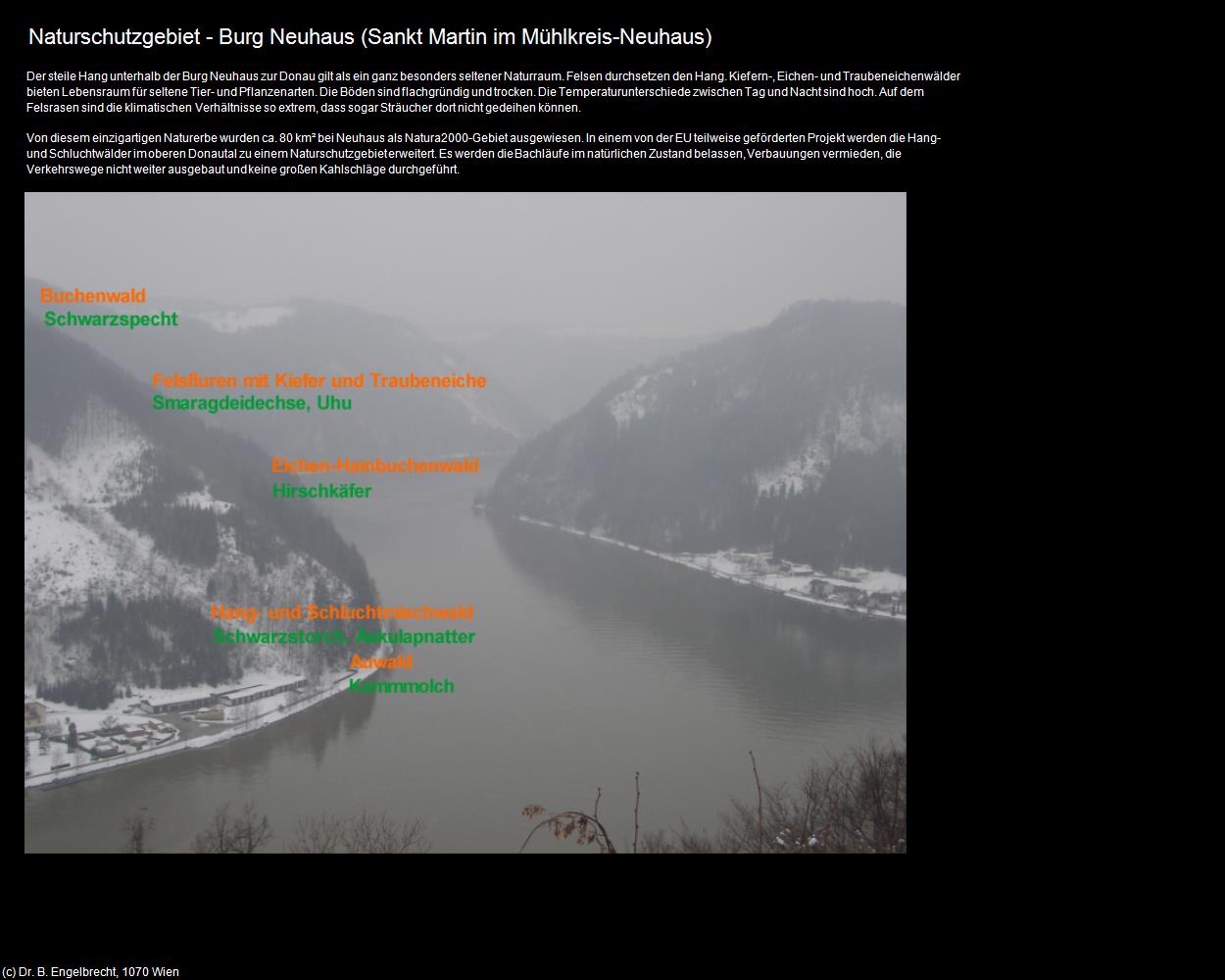 Naturschutzgebiet - Burg Neuhaus (Neuhaus an der Donau) (Sankt Martin im Mühlkreis) in Kulturatlas-OBERÖSTERREICH