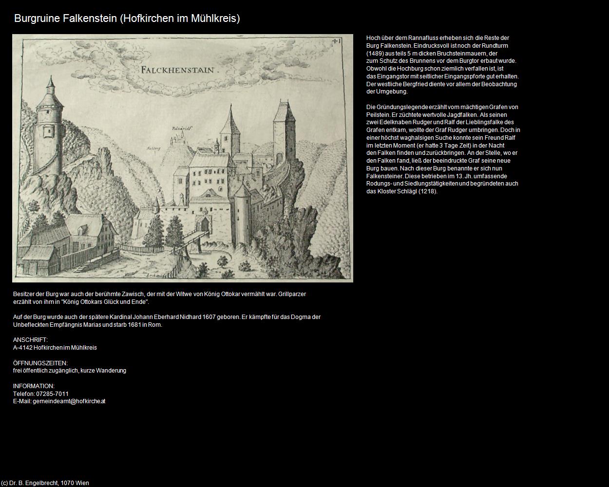 Burgruine Falkenstein (Hofkirchen im Mühlkreis) in Kulturatlas-OBERÖSTERREICH