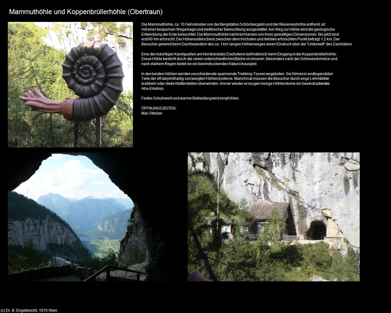 Mammuthöhle und Koppenbrüllerhöhle (Obertraun) in Kulturatlas-OBERÖSTERREICH
