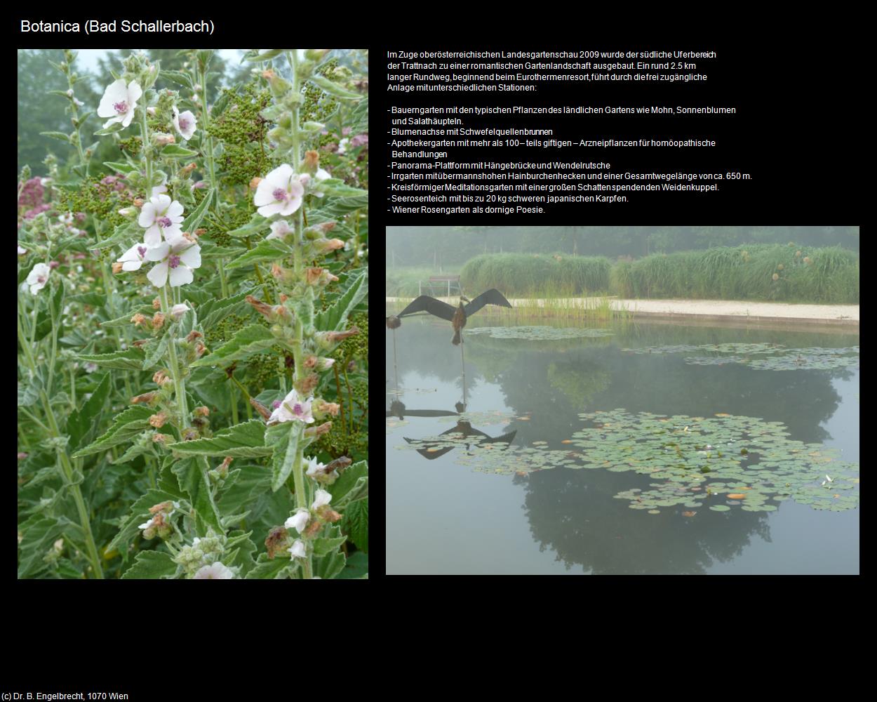 Botanica (Bad Schallerbach) in Kulturatlas-OBERÖSTERREICH