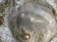 Gletschertopf und Findling (Bramberg am Wildkogel)
