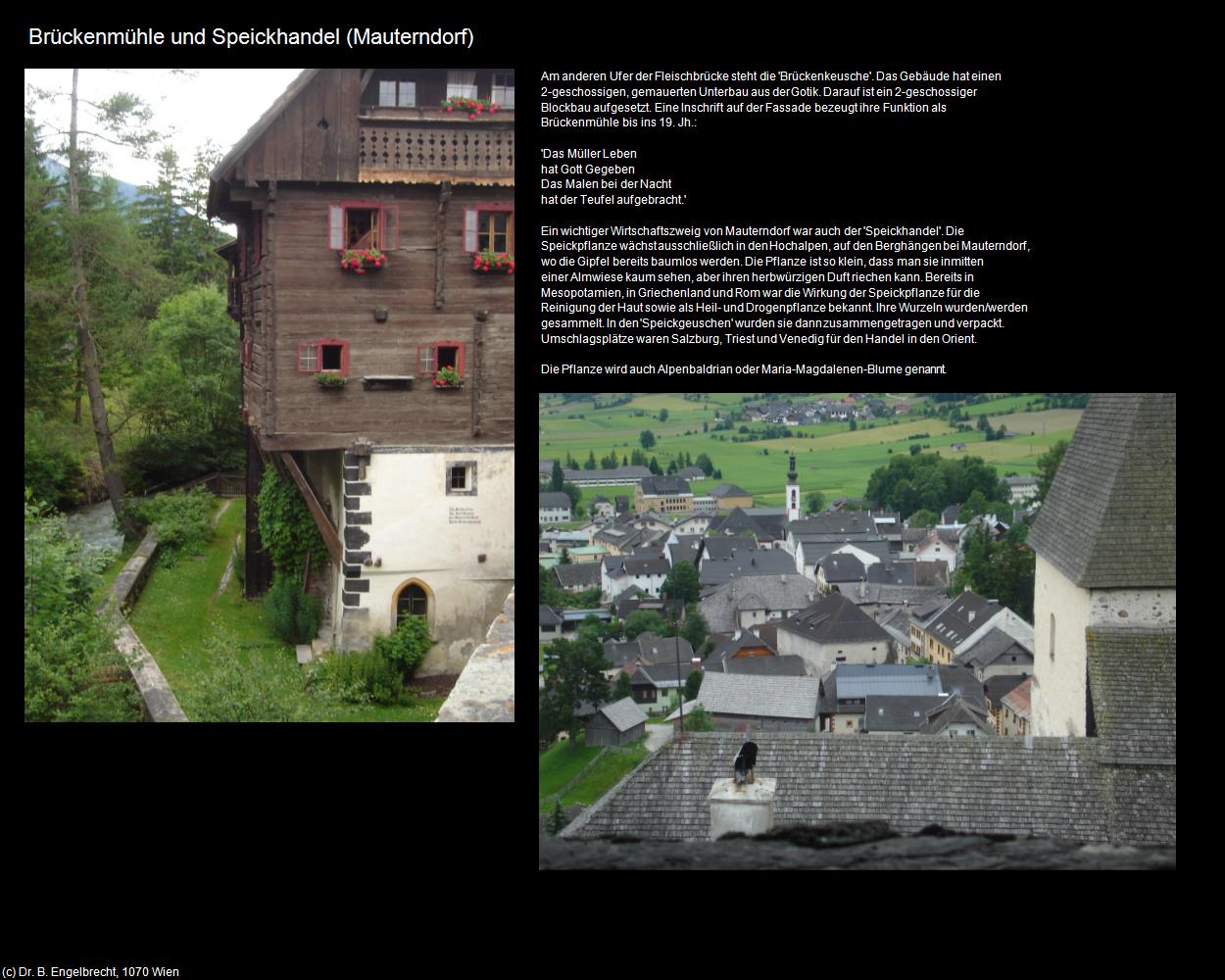 Brückenmühle und Speickhandel (Mauterndorf) in Kulturatlas-SALZBURG